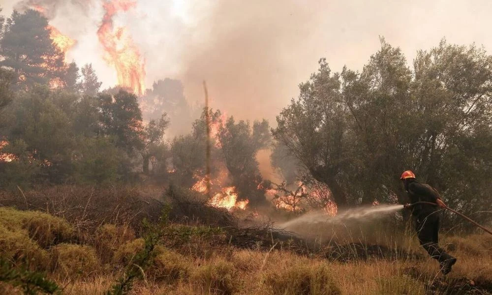 Φωτιά στην Σητεία και ολονύχτια μάχη με τις φλόγες